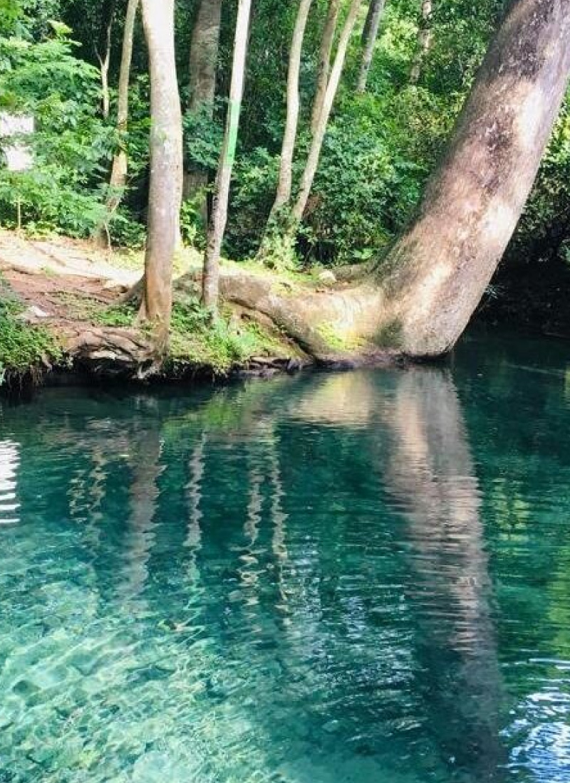 cañaverales-corpoguajira