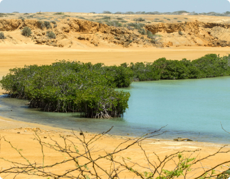montesdeoca-corpoguajira