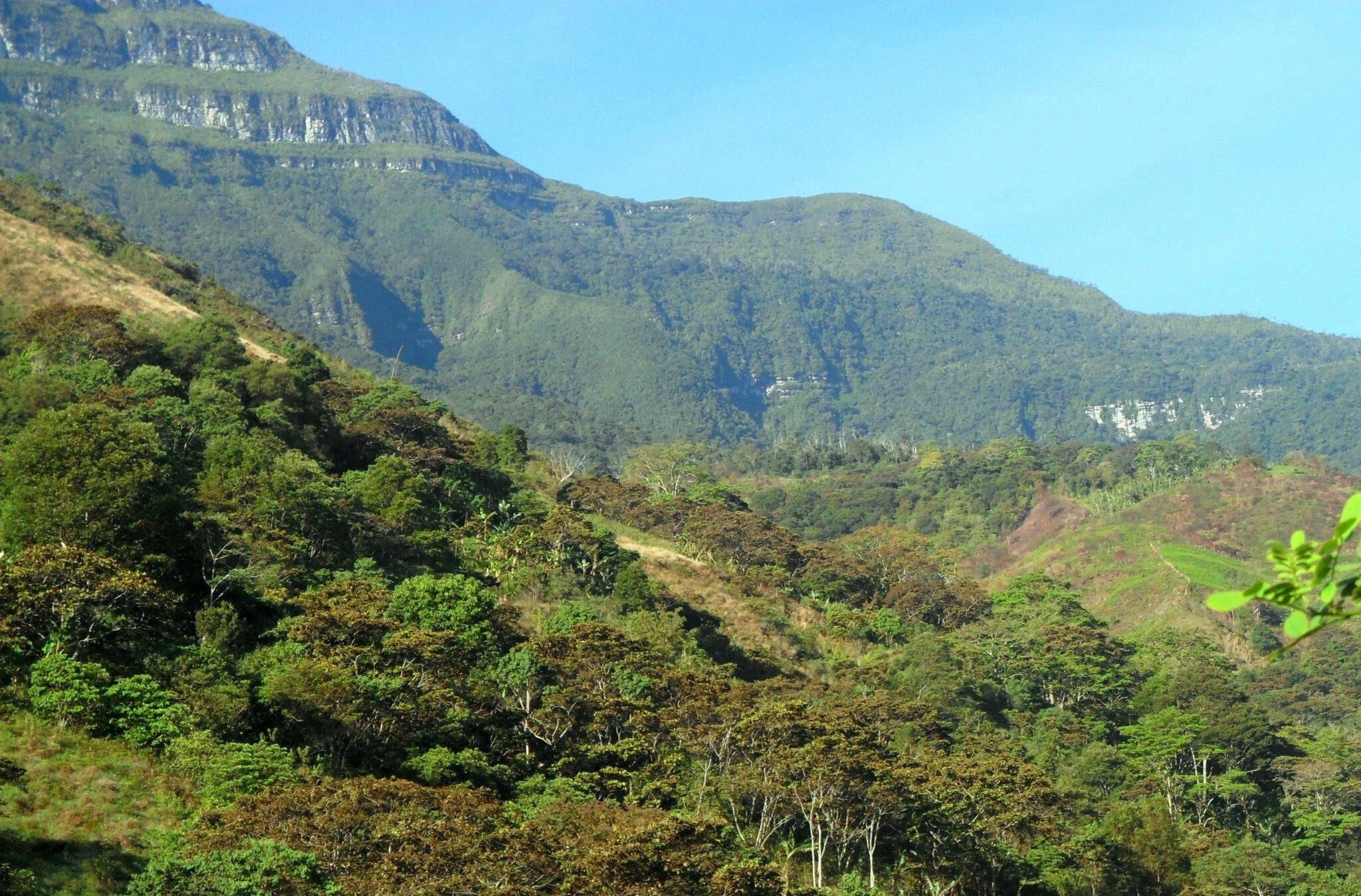 Parque-Regional-Natural-Cerro-Pintao-corpoguajira