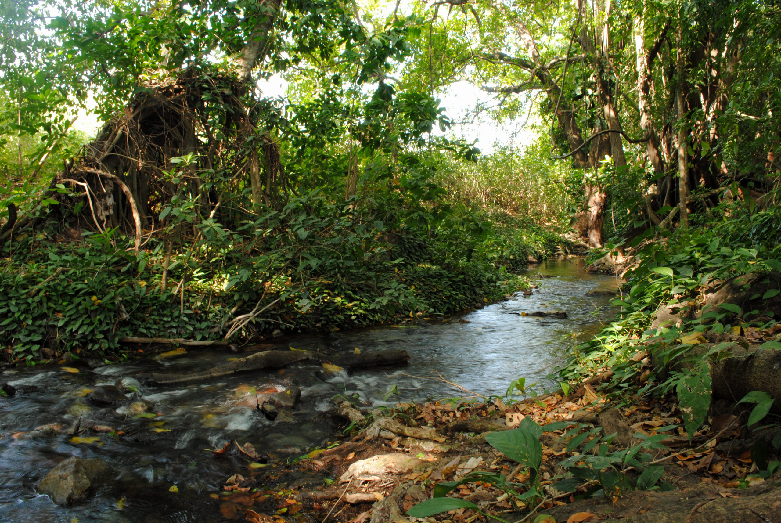 montesdeoca-corpoguajira