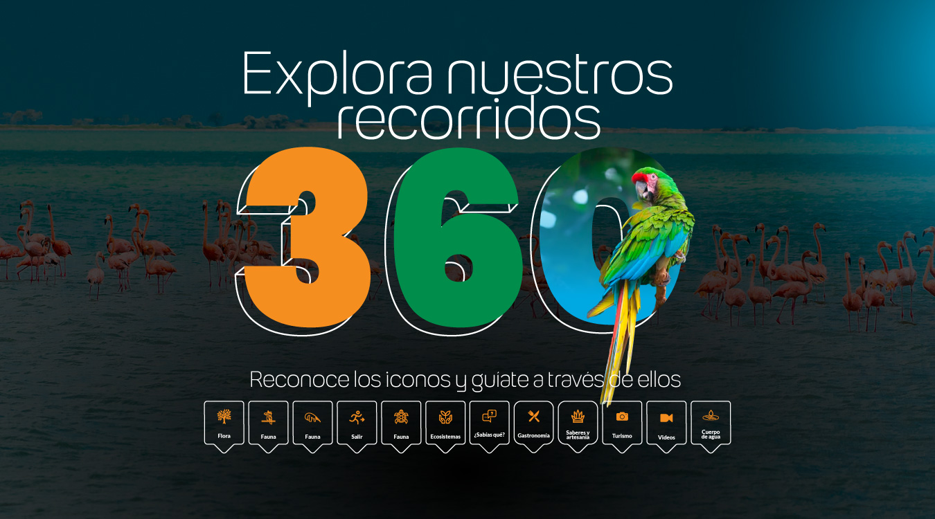 img-portadas-musishi-01