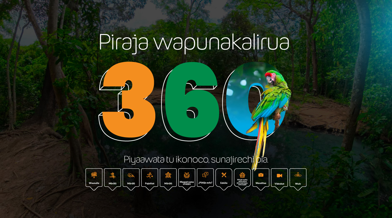 img-portadas-musishi-01