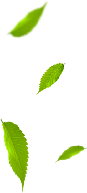 hojas - corpoguajira